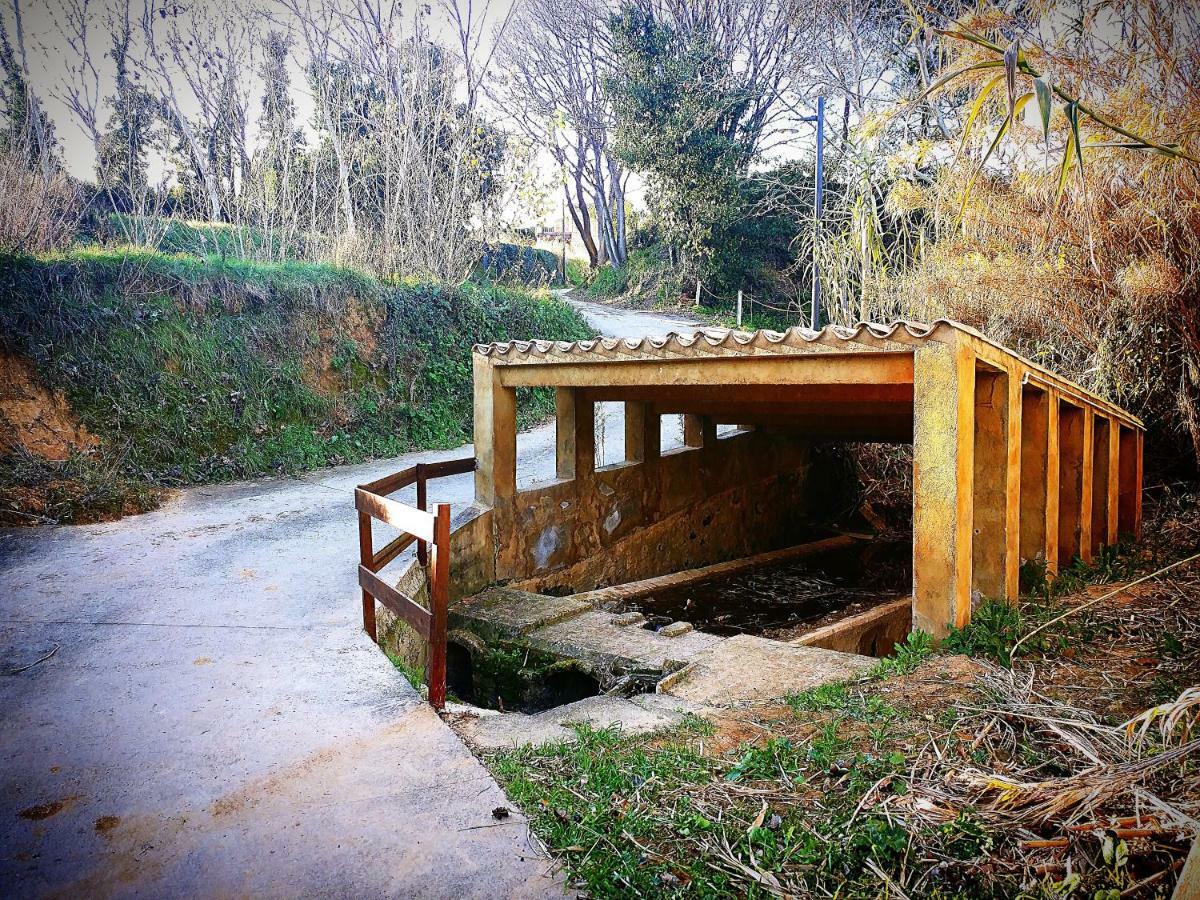 Cal Xaiet Pension Llampaies Buitenkant foto